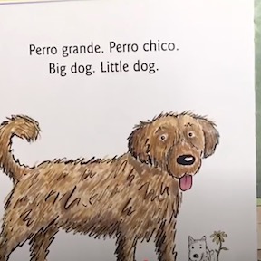 Perros Perros Dogs Dogs book