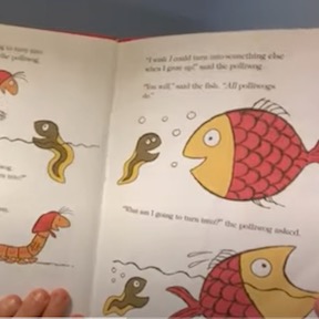 The caterpillar and the polliwog book